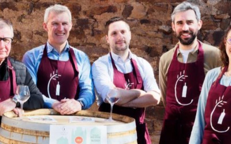 media12-vins-2025-610x270